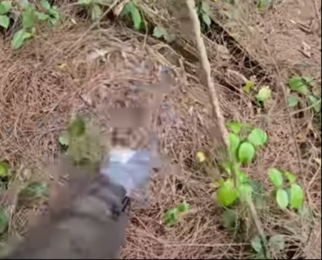 JEZIV SNIMAK OBIŠAO SVET Lovci uhvatili džinovskog predatora, ono što su našli ispod LEDI KRV U ŽILAMA!  